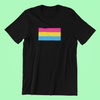 Pansexual Flag Shirt