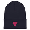 Pink Triangle Beanie