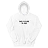 The Future is Gay Hoodie