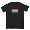 Pansexual Flag Pansexual Pride Shirt