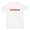Pansexual Flag Line Shirt