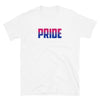 Pride in Bisexual Flag Colors Shirt