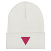 Pink Triangle Beanie