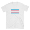 Transgender Flag Trans Pride Shirt