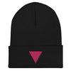Pink Triangle Beanie