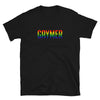 Gaymer Shirt