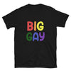 Big Gay Shirt