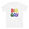 Big Gay Shirt