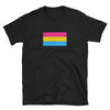 Pansexual Flag Pansexual Pride Shirt