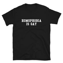  Homophobia is Gay Shirt