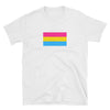 Pansexual Flag Pansexual Pride Shirt