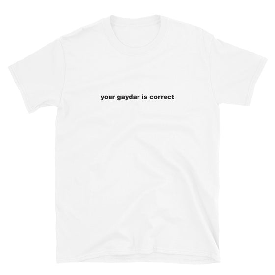 Your Gaydar is Correct Shirt