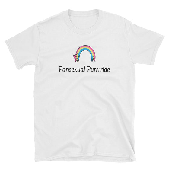 Pansexual Purrrride Cute Pansexual Pride Shirt | QueerlyDesigns
