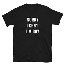  Sorry I Can't I'm Gay Shirt