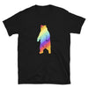Rainbow Bear Shirt