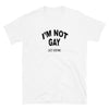 I'm Not Gay Just Kidding Shirt
